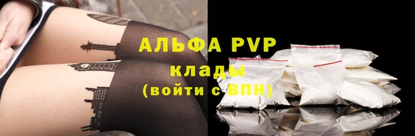 гашик Вязники
