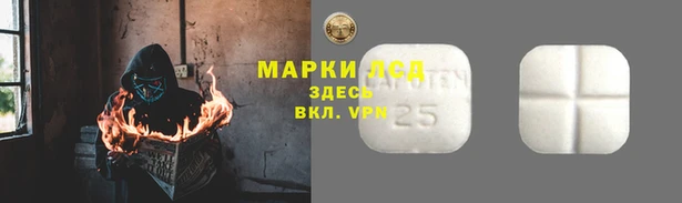 гашик Вязники