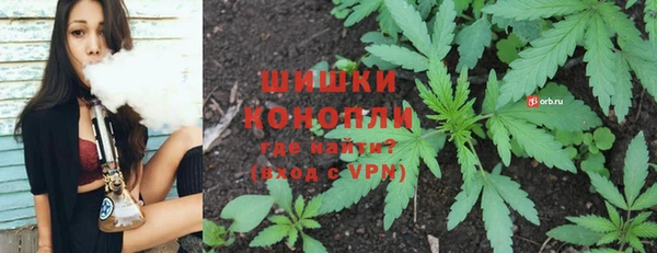 гашик Вязники