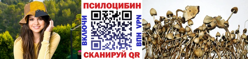 Псилоцибиновые грибы Magic Shrooms Купить закладки Миллерово